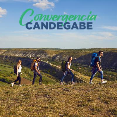 Características de la influencia de la información de los Reinos inferiores en la manifestación del Orden Humano - Marcelo Candegabe