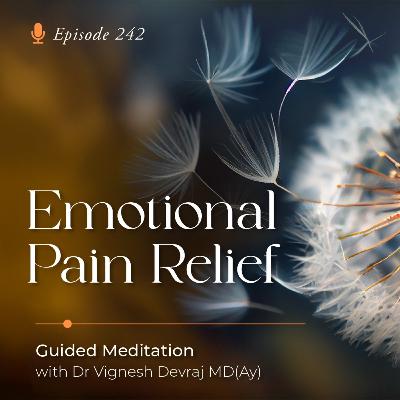 #242 Emotional Pain Relief: Guided Meditation with Dr Vignesh Devraj MD (Ay)