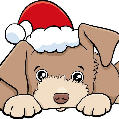 Festive Fun with Your Dog