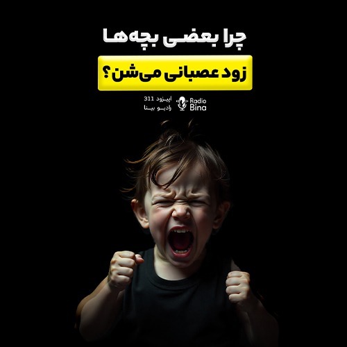 چرا بعضی بچه‌ها زود عصبانی می‌شن؟ پشت‌پرده‌ی مغزِ در حال رشد