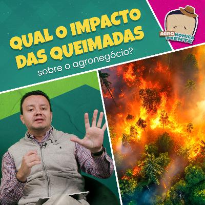 Qual o impacto das queimadas sobre o agronegócio? Qual o impacto das queimadas sobre o agronegócio?