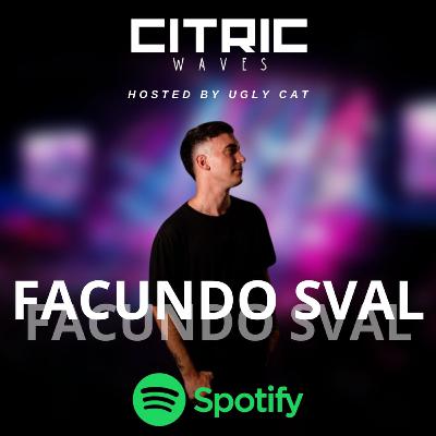 Waves NPI T06 E16 Facundo Sval