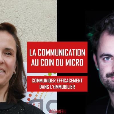 L'efficacité dans la communication immobilière - LCACDM XV