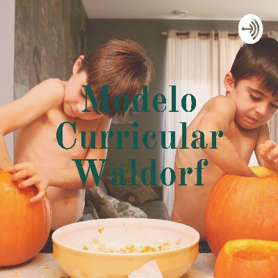 Algumas curiosidades sobre esse modelo curricular.
