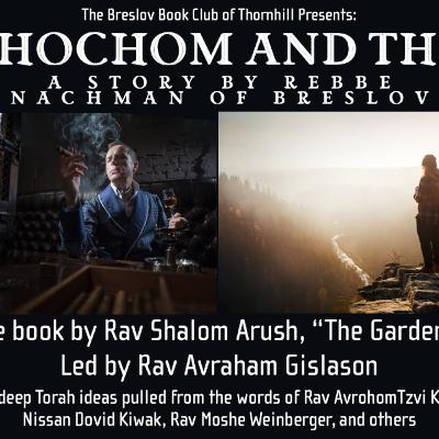 The Breslev Book Club - The Chochom and the Tam 14 by Rav Avraham Gislason!