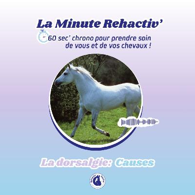 La dorsalgie : les causes