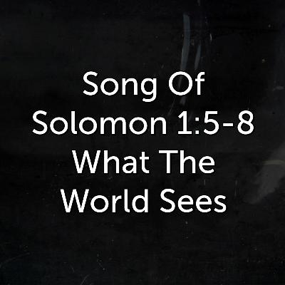 What The World Sees