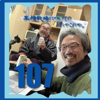 #107　菜種栽培について