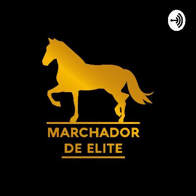 O que eu preciso saber, antes de comprar o meu cavalo?