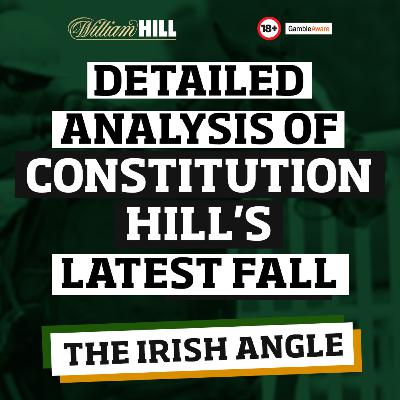 Detailed analysis of Constitution Hill's latest fall