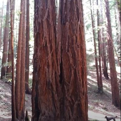 Diacardia Season 1 Episode 7 A Part Of and Apart From