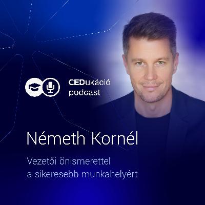 Vezetői önismerettel a sikeresebb munkahelyért - Beszélgetés Németh Kornéllal Vezetői önismerettel a sikeresebb munkahelyért - Beszélgetés Németh Kornéllal