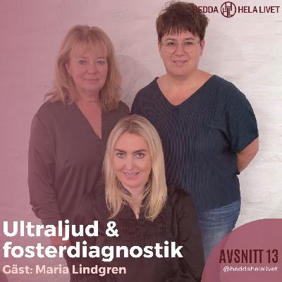 13. Ultraljud & fosterdiagnostik 13. Ultraljud & fosterdiagnostik