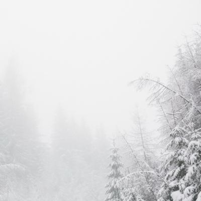 1. Rauhnacht: Januar 1. Rauhnacht: Januar