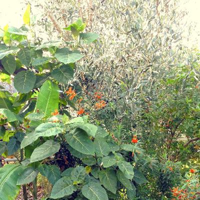 Episode 17 Chill-downbeat-mix-spring-17