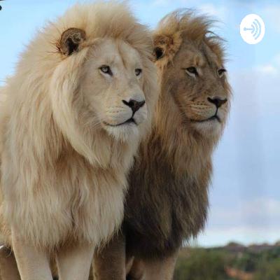 COSTOS DE VIDA EN LA CIUDAD DE MEXICO COSTOS DE VIDA EN LA CIUDAD DE MEXICO