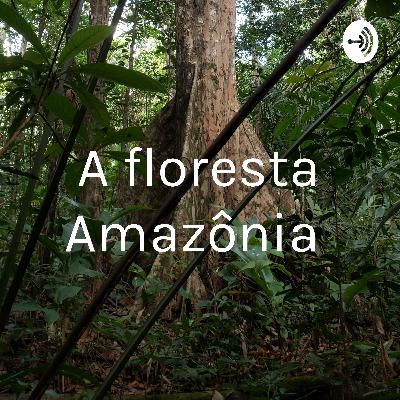 A floresta Amazônia  (Trailer)