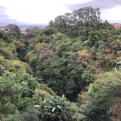 What stops us from moving forward? What stops us from moving forward?