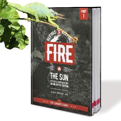 Mikä maksaa? – Musikaalilippujen hinnat suomalaisissa teattereissa