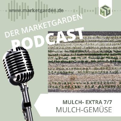 EXTRA Mulch Anbau (7von 7) - Mulchgemüse - Betrieb Meiners