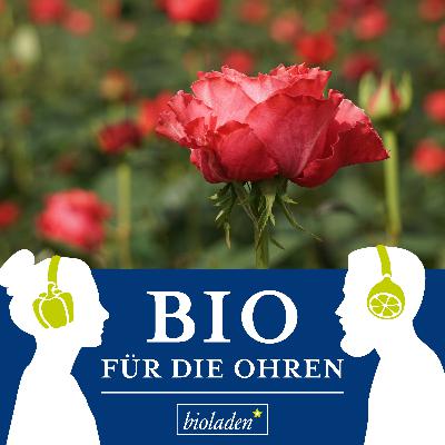 „Schenkt mehr Blumen!“ – Bernds Blumenglück
