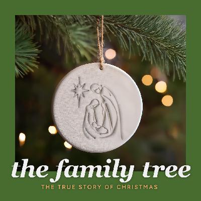 The Family Tree - The True Story of Christmas - The New Altar - 29 December 2024 The Family Tree - The True Story of Christmas - The New Altar - 29 December 2024