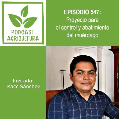 547 Proyecto para el control y abatimiento del muérdago con Isacc Sánchez 547 Proyecto para el control y abatimiento del muérdago con Isacc Sánchez