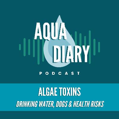 Algae Toxins: Drinking Water, Dogs & Health Risks Algae Toxins: Drinking Water, Dogs & Health Risks
