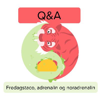 Fredagstaco, adrenalin og noradrenalin – Q&A med Nils Christian Fredagstaco, adrenalin og noradrenalin – Q&A med Nils Christian