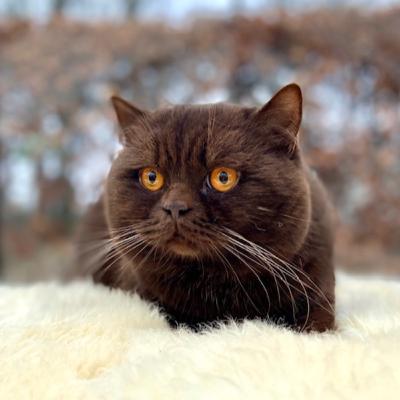 #1. Is jouw dekkater klaar voor het nieuwe seizoen?