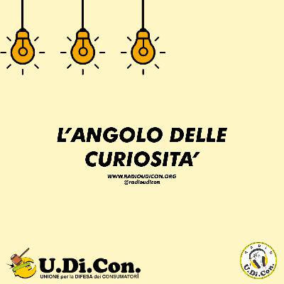 L’angolo delle curiosità: La Pet Therapy