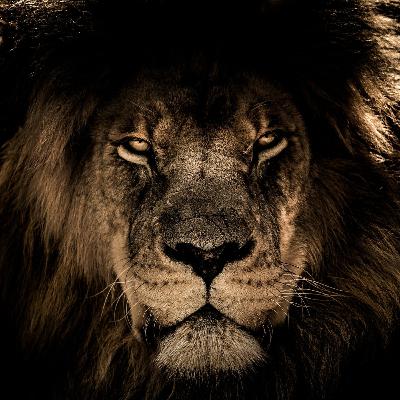 Controle Seus Sentimentos Controle Seus Sentimentos