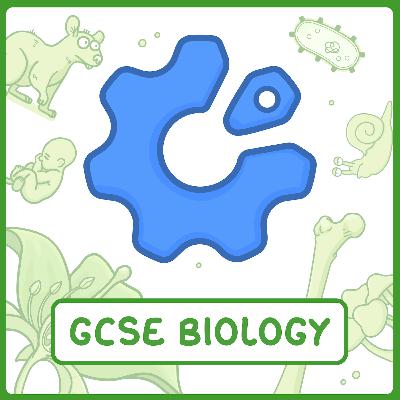 ✨ GCSE Biology Paper 2 in 11 Minutes
