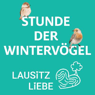 #20 Stunde der Wintervögel