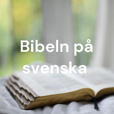 Psaltaren kap 4