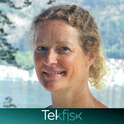 Raudåten - havets ku og vår viktigste ressurs