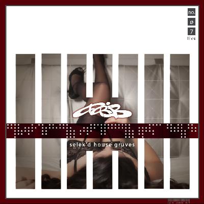 selek'd house grüves vol 7 soulfulness - mixed by farib selek'd house grüves vol 7 soulfulness - mixed by farib