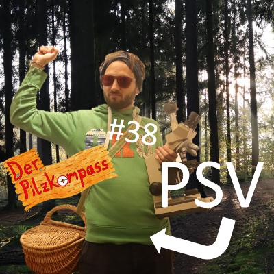 38 Wie wird man eigentlich Pilzsachverständige(r)? 🤔