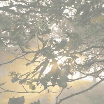 WITCHCRAFT SPELLS: 'Ornaments in Jade--The Ceremony' by Arthur Machen
