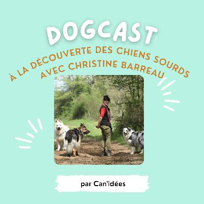 Épisode 6 - À la découverte des chiens sourds