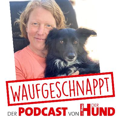 So geht Tiersuche - Mandy van den Borg
