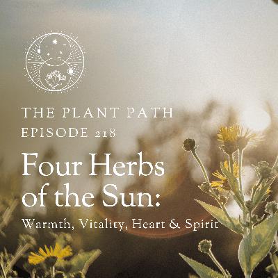 Four Herbs of the Sun: Warmth, Vitality, Heart & Spirit
