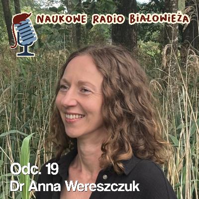 #19 Kontrowersyjne kuny (dr Anna Wereszczuk)