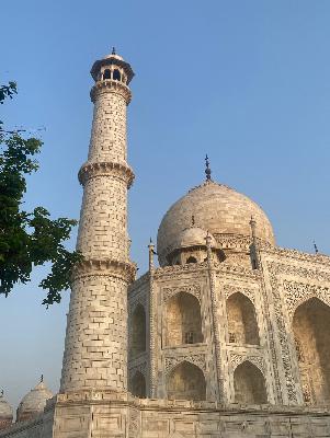 № 176 — Индия (с Полиной)