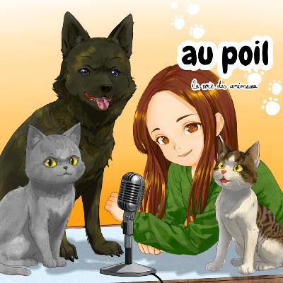 #11 - Lettre ouverte aux Dog-Parents