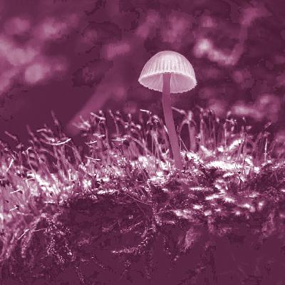 The Courage to Do What's Right