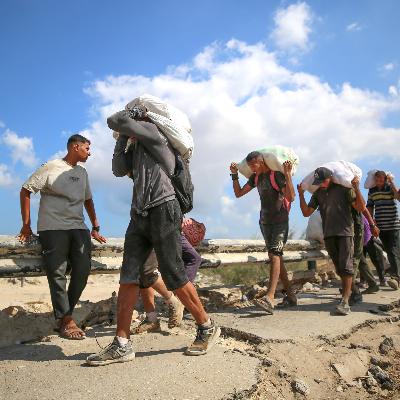 The “Gaza: Yesterday & Tomorrow” Edition