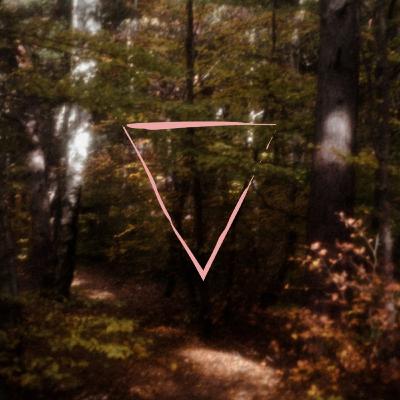 I celti - le origini dell'Europa