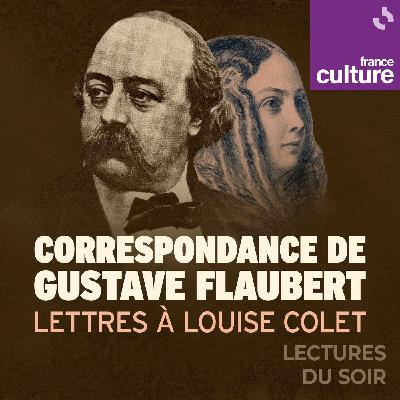 Correspondance de Gustave Flaubert : Lettres à Louise Colet 4/5 : Humeur