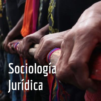 Clase 1. Sociología Jurídica en Francia: De Durkheim a Bourdieu